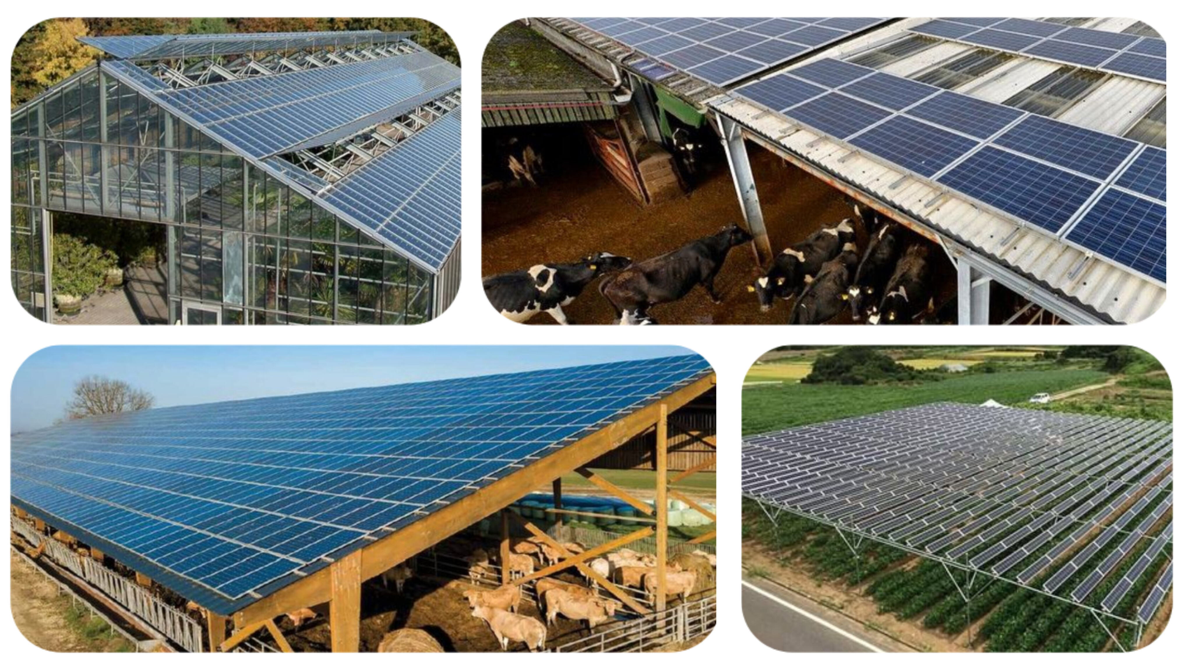 066162ea-56da-48cb-be4f-409711bcdf5d-solar-panels-for-agriculture-and-livestock.jpg